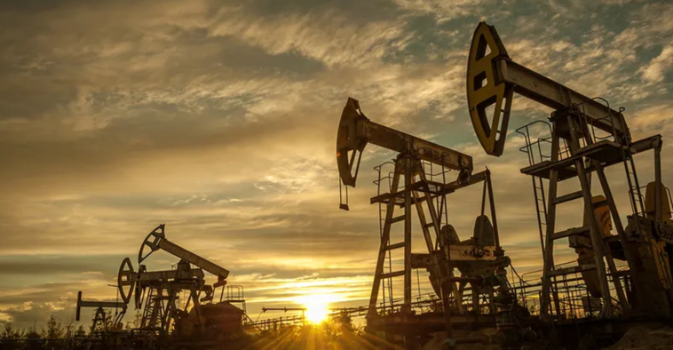 petrolvegaz Tuzla Hortum | Hortum, Kamlok, Vana, Kelepçe